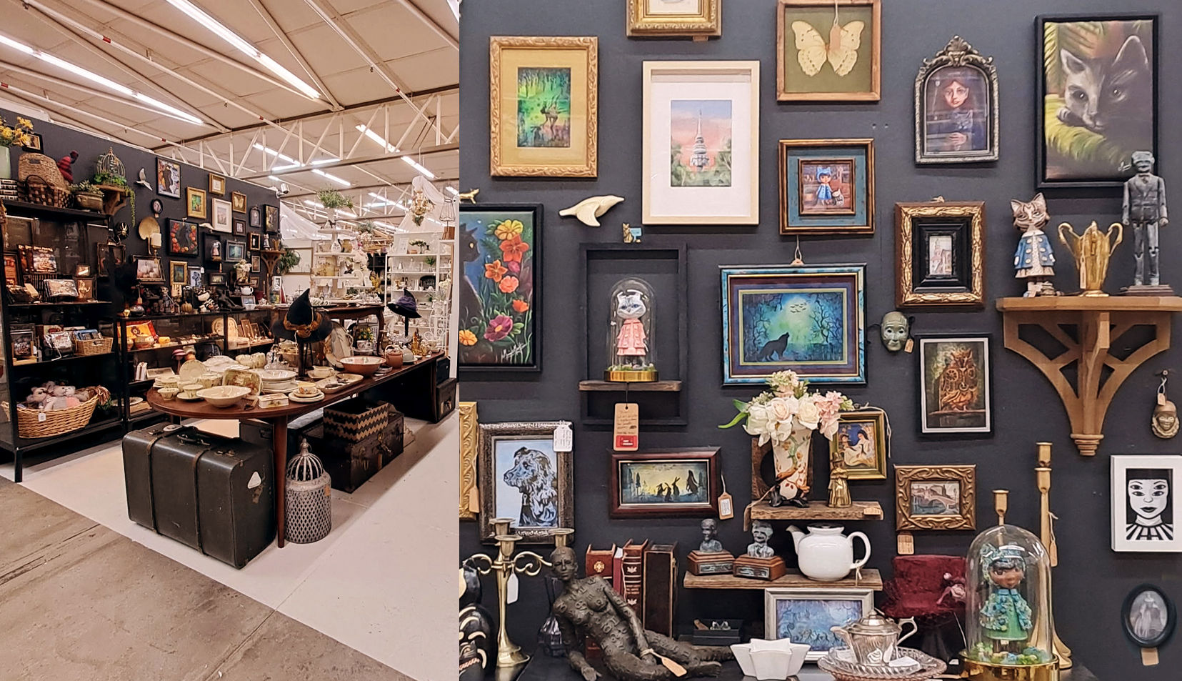 The Beehive Collective at Dirty Janes Canberra